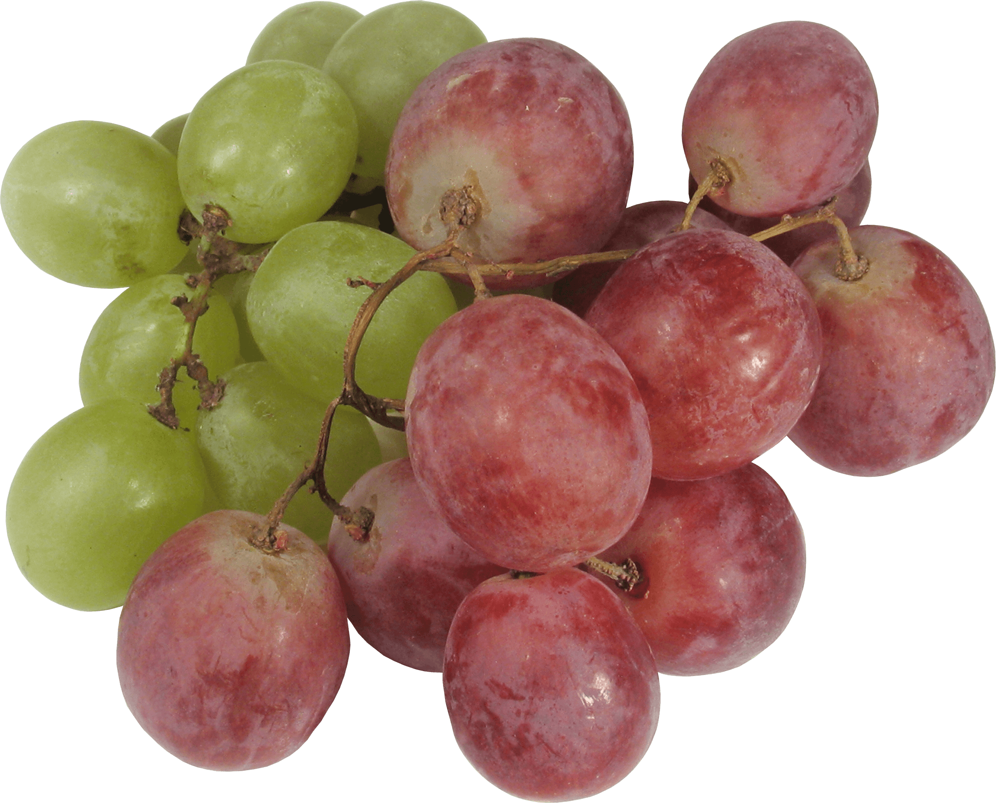 grape_PNG2988