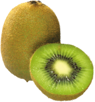 kiwi_PNG4030