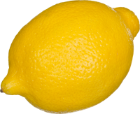 lemon_PNG25205