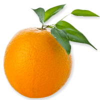 orange_PNG811