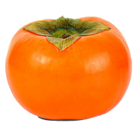 persimmon