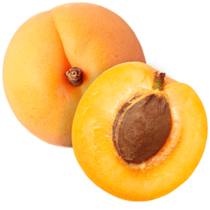 stone_fruit_apricots_web-max-w600